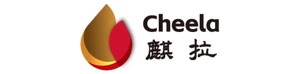 响应式充电桩设备外贸网站模板